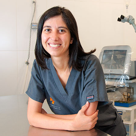 Hospital Veterinario Buenavista